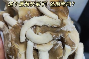 如何培养蘑菇并让其再次生长（探索蘑菇生长的秘密及有效培养技巧）