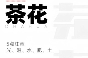 四季茶花花语大揭秘（探寻茶花的生命之源与代表意义）