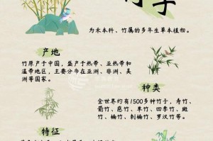 如何培养水中竹子的旺盛生长？（掌握关键技巧，让水中竹子茁壮成长）