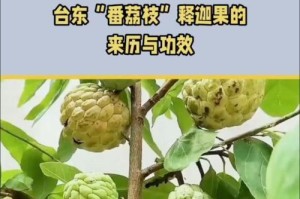 释迦果的种植环境与方法剖析（探究释迦果在不同地域的种植技巧与注意事项）