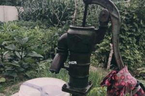 井水浇菜，可行吗？（探究井水浇菜的利弊，为您提供科学的种植建议）