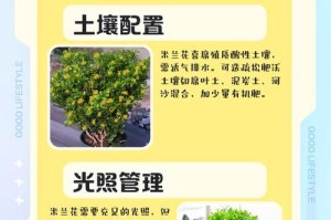 米兰花养护全攻略（培养健康叶片，打造绿色植物天堂）