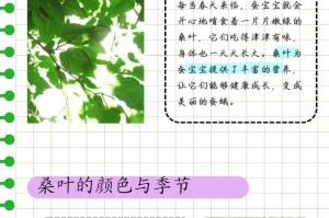 寻找桑叶的生长地（寻找桑叶，从这些地方开始探寻）