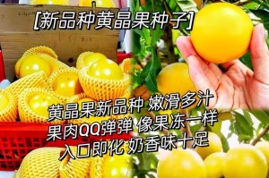 黄晶果的神奇功效与作用（探秘黄晶果的健康价值，拥抱自然食品的魅力）