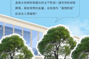 工厂绿化计划