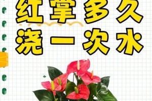 量天尺如何正确浇水？（掌握浇水技巧，让量天尺长得更好）