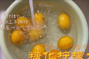 如何种植柠檬籽（从选种到成活全攻略）