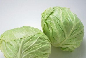 揭秘卷心菜