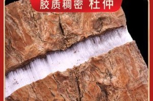 杜仲产地最优选择（探秘杜仲之最）