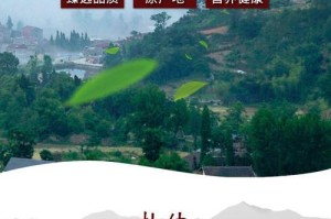 寻找最优质的杜仲产地（探寻杜仲之乡，品尝纯正好货）