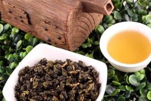 乌龙茶的性质探析（热性还是凉性？一文带你了解乌龙茶的真正特性）
