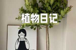 如何解决一帆风顺烂根问题？（探讨解决烂根问题的方法，助你轻松迈向成功）
