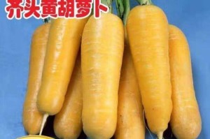 胡萝卜种子的发芽时间（探究胡萝卜种子发芽需要的条件与时间）