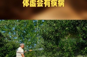 树叶干燥的过程与方法（如何正确放干树叶）