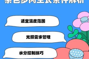 多肉紫米粒繁殖耷拉了该如何处理？（解决多肉紫米粒繁殖耷拉问题的实用方法）