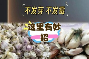 大蒜催芽方法大揭秘（让大蒜快速发芽的秘诀与技巧）