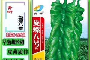种植辣椒的最佳时间以及必须知道的关键信息（种植辣椒的最佳时间以及必须知道的关键信息）