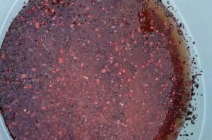 红豆没熟透也能吃？别错过这些好处！（红豆的功效与食用方法详解，健康生活从这里开始！）