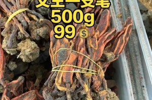 回春草的营养与功效（从预防疾病到美容养颜，回春草都有哪些作用）