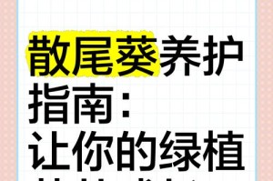阿司匹林可以浇散尾葵吗？（探究阿司匹林对散尾葵的影响及应用）