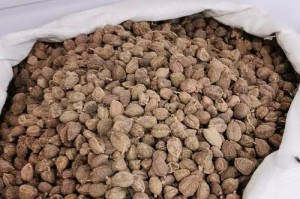 砂仁的产地及其特点（探秘砂仁的生长环境和药用价值）