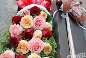 19朵玫瑰的花语及其含义（探究19朵玫瑰代表什么，了解花语传递的含义）