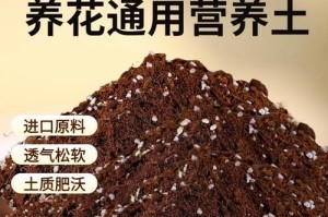 椰糠土多肉种植指南（如何使用椰糠土培育多肉植物）