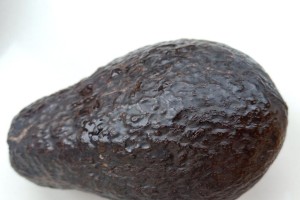 牛油果种子的种植方法（从选种到养护全方位指导，快速掌握种植技巧）