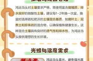红运当头，分株有妙招（揭秘如何正确分株，让红运永不停歇）