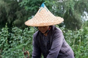 井水浇菜，可行性与实践（用清澈的井水滋润绿色生命，倡导环保种植）