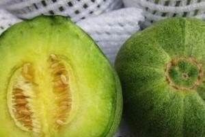 怎样判断哈密瓜是否熟透？（哈密瓜熟了吗？看这些细节就能分辨！）