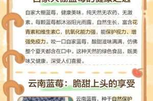 蓝莓成熟的季节（了解蓝莓成熟季节，享受美味佳果）