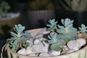 以子持年华（给孩子最宝贵的礼物，让他们拥有光辉的未来）