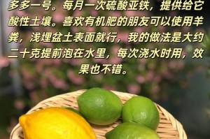 沙子种檬子，这真的可行吗？（探究沙子种檬子的方法与注意事项）