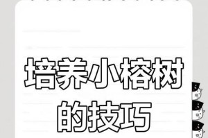 榕树小苗的养护指南（从种植到成长，打造美丽的绿色家园）