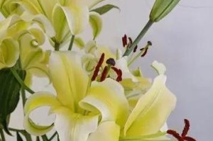 百合的意义与象征（探寻百合花的文化内涵）